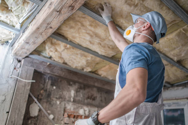 Best Attic Insulation Near Me  in Tripoli, IA