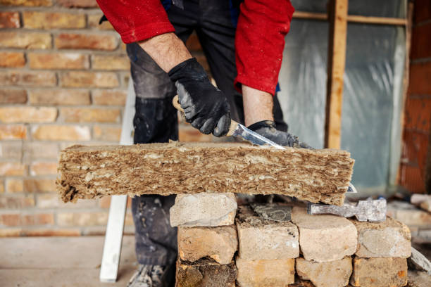 Best Affordable Insulation Services  in Tripoli, IA