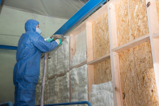 Best Insulation Contractors for Homes  in Tripoli, IA