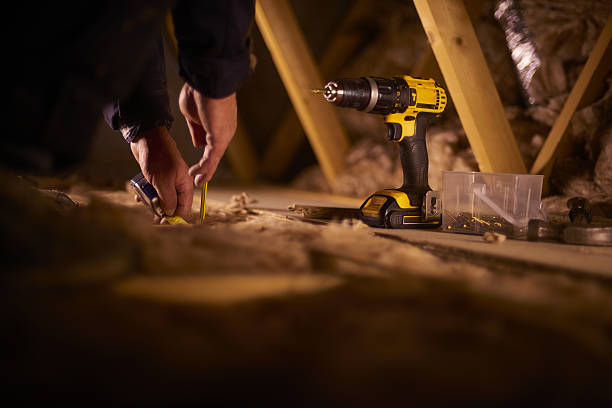 Best Insulation Inspection Services  in Tripoli, IA
